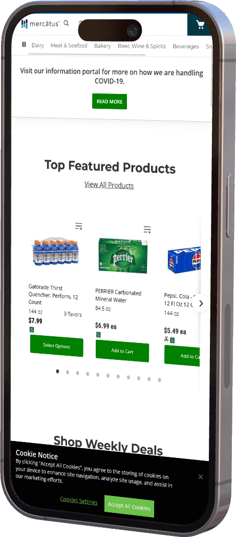 Mobile image mockup of Mercatus Technologies Inc. page